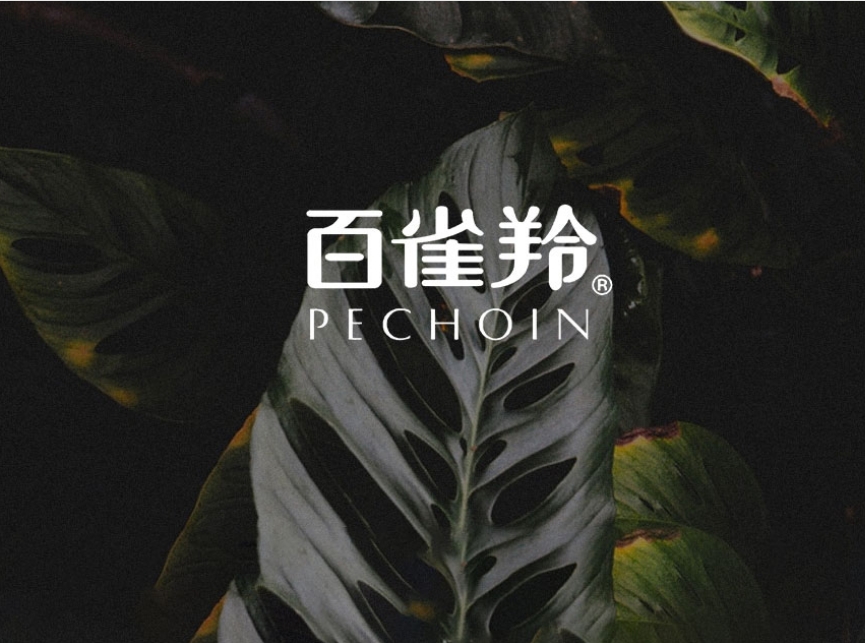 网站案例-百雀羚