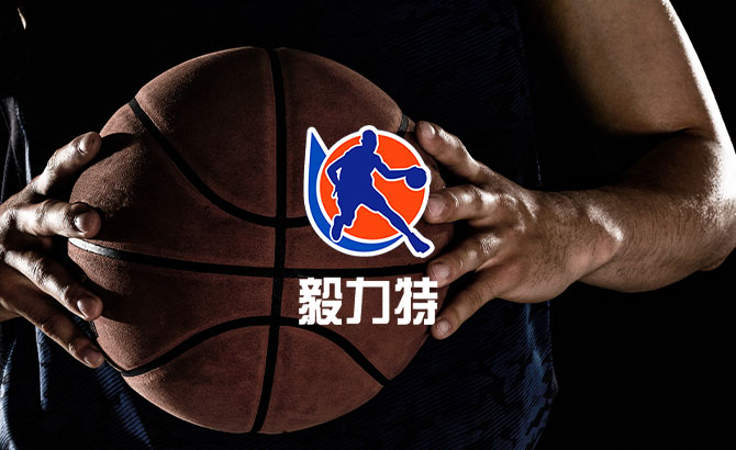 网站案例-毅力特